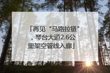 再见“马路拉链”，琴台大道2.6公里架空管线入廊