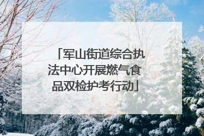 军山街道综合执法中心开展燃气食品双检护考行动