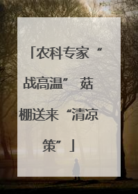 农科专家“战高温” 菇棚送来“清凉策”