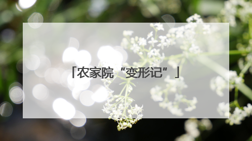 农家院“变形记”