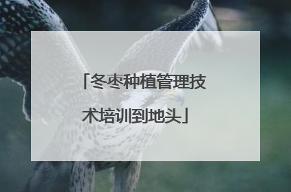 冬枣种植管理技术培训到地头