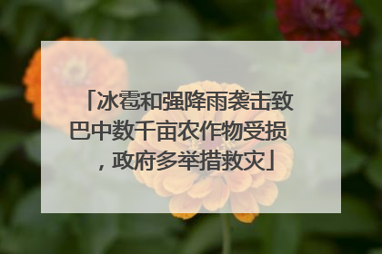 冰雹和强降雨袭击致巴中数千亩农作物受损，政府多举措救灾