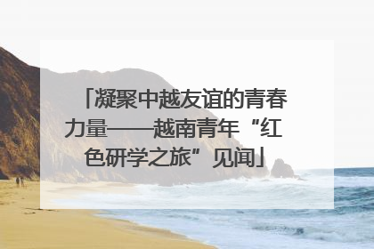 凝聚中越友谊的青春力量——越南青年“红色研学之旅”见闻