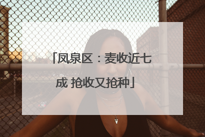 凤泉区：麦收近七成 抢收又抢种