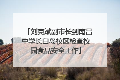 刘克斌副市长到南昌中学长白岛校区检查校园食品安全工作
