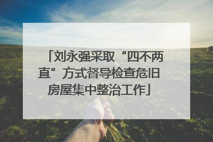 刘永强采取“四不两直”方式督导检查危旧房屋集中整治工作