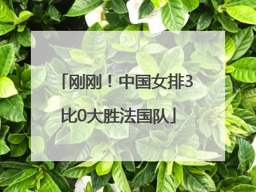 刚刚！中国女排3比0大胜法国队