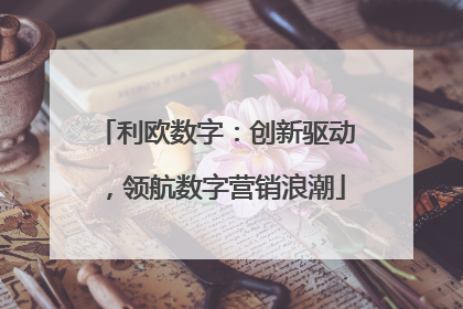 利欧数字：创新驱动，领航数字营销浪潮