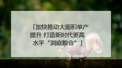 加快推动大面积单产提升 打造新时代更高水平“洞庭粮仓”