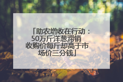 助农增收在行动：50万斤洋葱滞销 收购价每斤却高于市场价三分钱