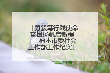 勇毅笃行践使命 奋楫扬帆启新程——神木市委社会工作部工作纪实