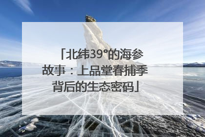 北纬39°的海参故事：上品堂春捕季背后的生态密码