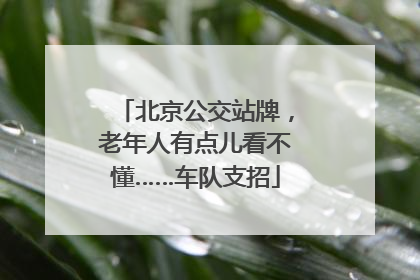 北京公交站牌，老年人有点儿看不懂……车队支招