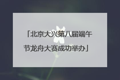 北京大兴第八届端午节龙舟大赛成功举办