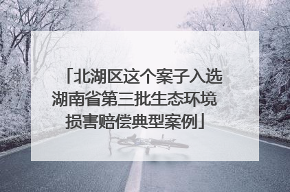 北湖区这个案子入选湖南省第三批生态环境损害赔偿典型案例