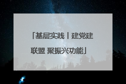 基层实践丨建党建联盟 聚振兴功能