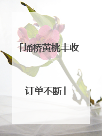 埇桥黄桃丰收 订单不断