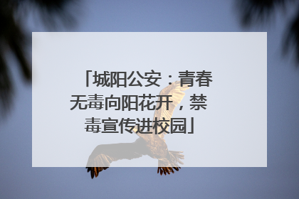 城阳公安：青春无毒向阳花开，禁毒宣传进校园