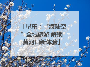 垦东：“海陆空”全域旅游 解锁黄河口新体验