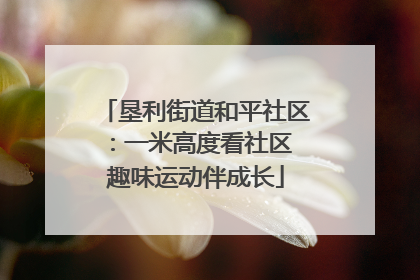 垦利街道和平社区：一米高度看社区 趣味运动伴成长