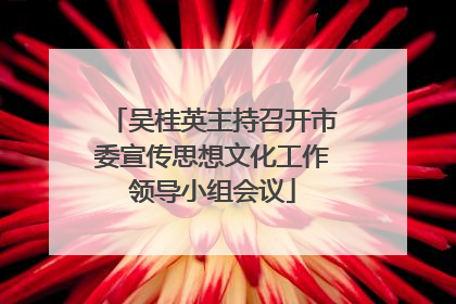 吴桂英主持召开市委宣传思想文化工作领导小组会议