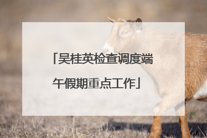 吴桂英检查调度端午假期重点工作