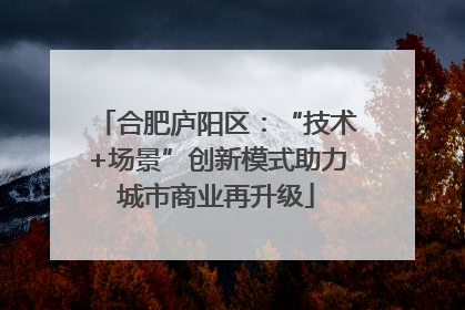 合肥庐阳区：“技术+场景”创新模式助力城市商业再升级