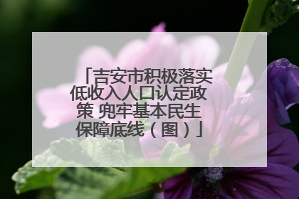吉安市积极落实低收入人口认定政策 兜牢基本民生保障底线（图）