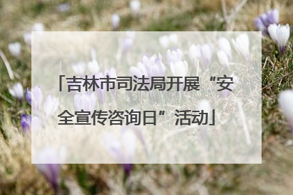 吉林市司法局开展“安全宣传咨询日”活动