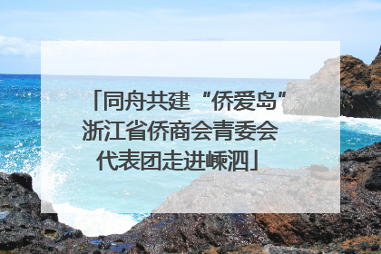 同舟共建“侨爱岛” 浙江省侨商会青委会代表团走进嵊泗