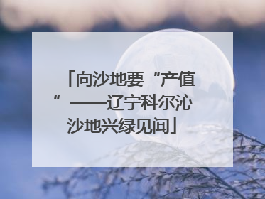 向沙地要“产值”——辽宁科尔沁沙地兴绿见闻