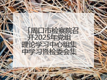 周口市检察院召开2025年党组理论学习中心组集中学习暨检委会集体学习会议