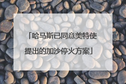 哈马斯已同意美特使提出的加沙停火方案