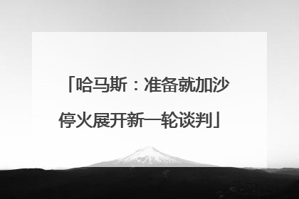哈马斯：准备就加沙停火展开新一轮谈判
