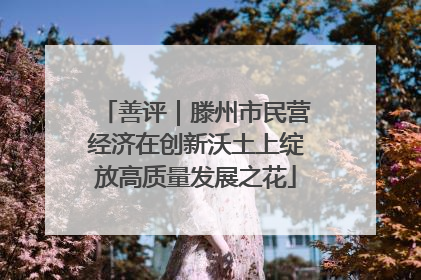 善评｜滕州市民营经济在创新沃土上绽放高质量发展之花