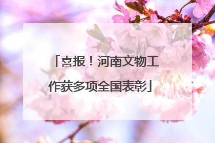 喜报！河南文物工作获多项全国表彰