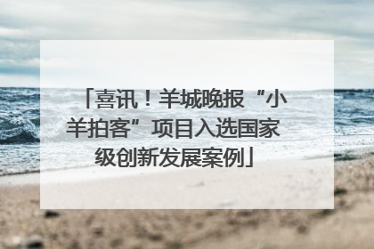 喜讯！羊城晚报“小羊拍客”项目入选国家级创新发展案例