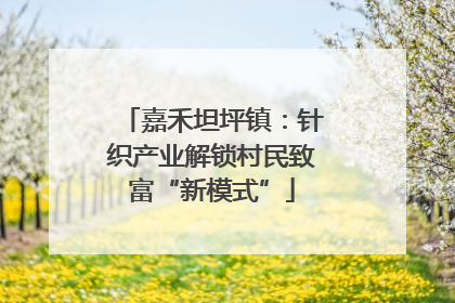 嘉禾坦坪镇：针织产业解锁村民致富“新模式”