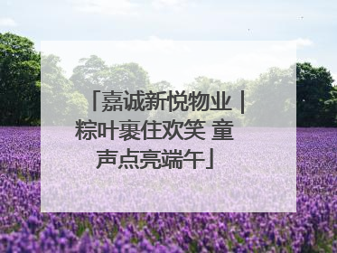 嘉诚新悦物业｜粽叶裹住欢笑 童声点亮端午