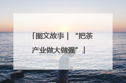 图文故事｜“把茶产业做大做强”