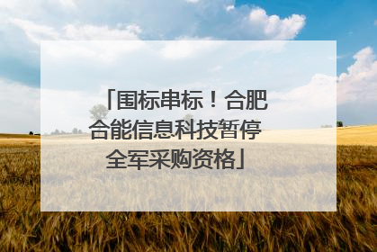 围标串标！合肥合能信息科技暂停全军采购资格