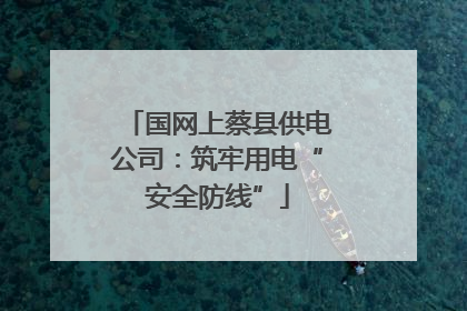 国网上蔡县供电公司：筑牢用电“安全防线”