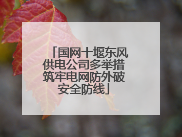 国网十堰东风供电公司多举措筑牢电网防外破安全防线