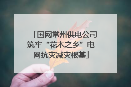 国网常州供电公司筑牢“花木之乡”电网抗灾减灾根基