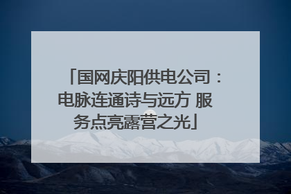 国网庆阳供电公司：电脉连通诗与远方 服务点亮露营之光