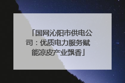 国网沁阳市供电公司：优质电力服务赋能凉皮产业飘香