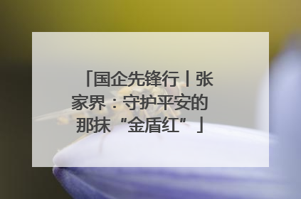 国企先锋行丨张家界：守护平安的那抹“金盾红”