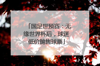 国足世预赛：无缘世界杯后，球迷低价抛售球票