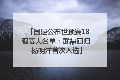 国足公布世预赛18强赛大名单：武磊回归 杨明洋首次入选