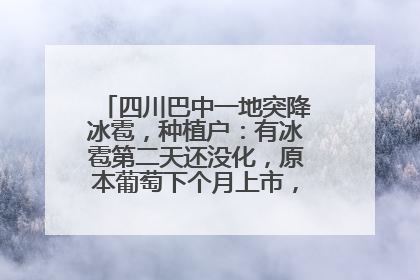 四川巴中一地突降冰雹，种植户：有冰雹第二天还没化，原本葡萄下个月上市，现在全被打落